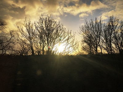 Birth of the Sun - December 29th by blogwriting